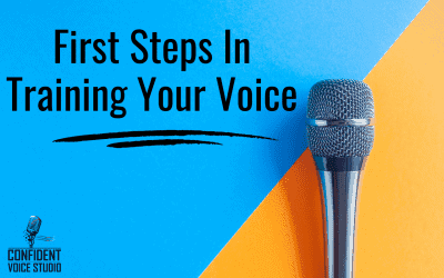 First Steps In Training Your Voice