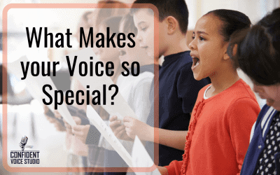 What Makes your Voice Special?